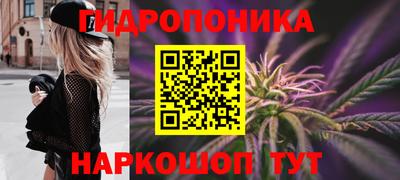 прущие грибы Изобильный