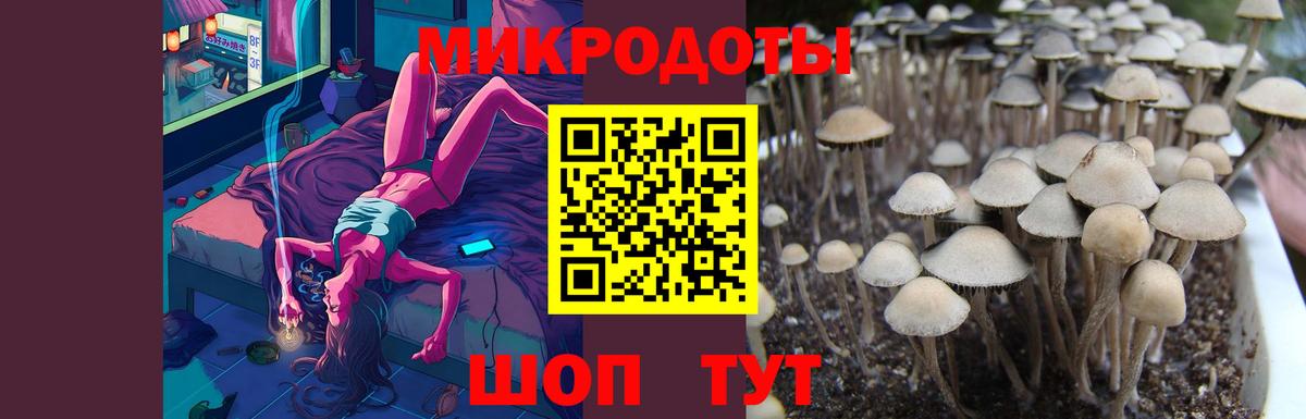 Луховицы  Псилоцибиновые грибы мухоморы  Вход с VPN  Псилоцибиновые грибы мухоморы 